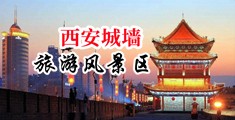 男男尻屄中国陕西-西安城墙旅游风景区